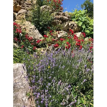 In Haus Kallenberg *