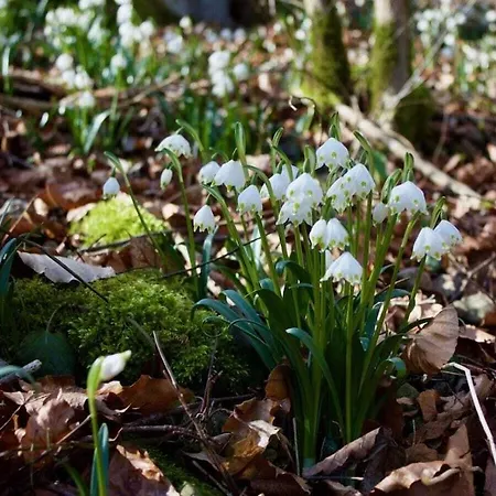 In Haus Kallenberg * Anhausen (Herbrechtingen)