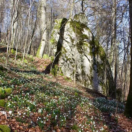 Hébergement de vacances In Haus Kallenberg Anhausen (Herbrechtingen)